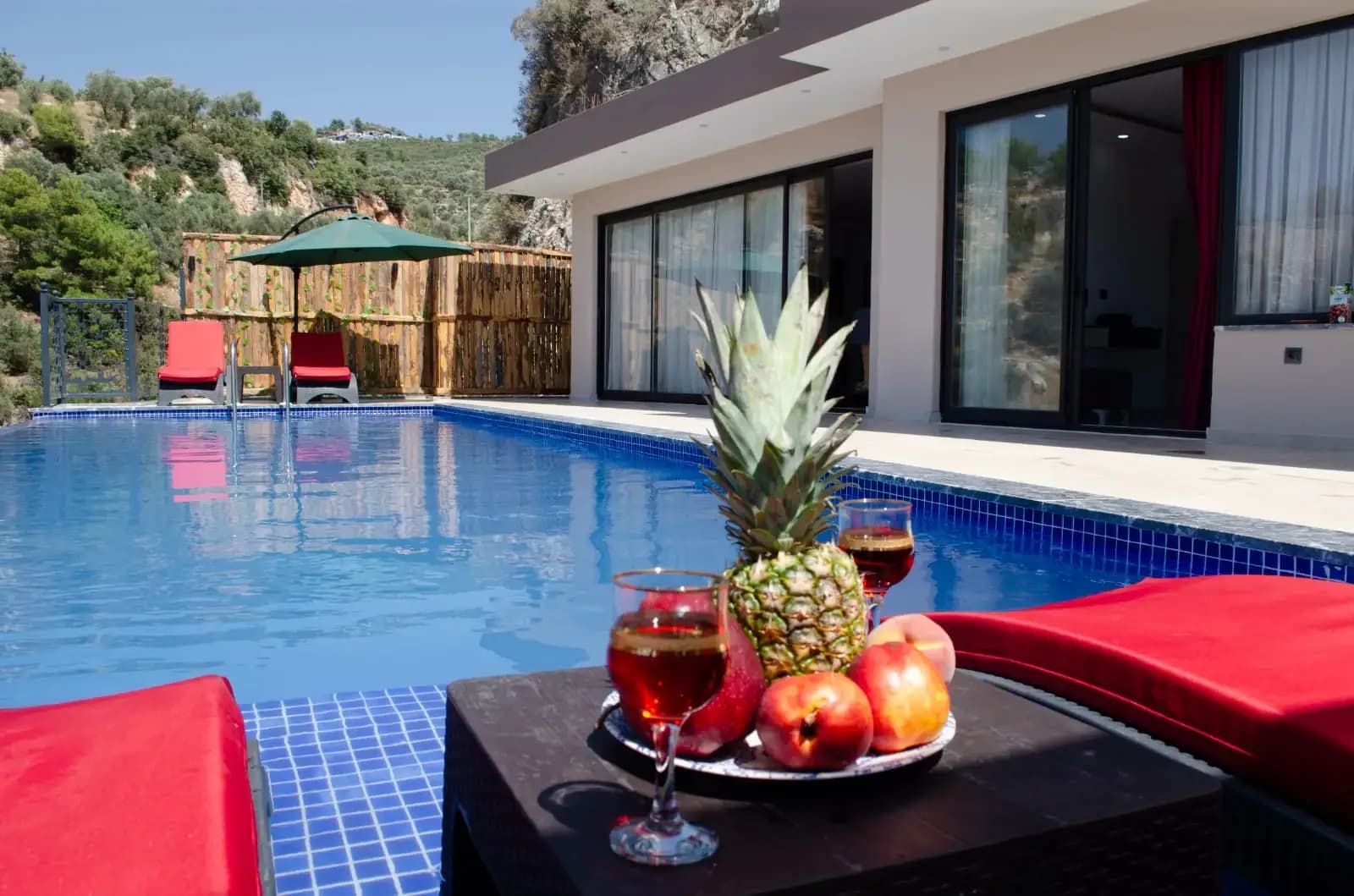Villa Cenk 11
