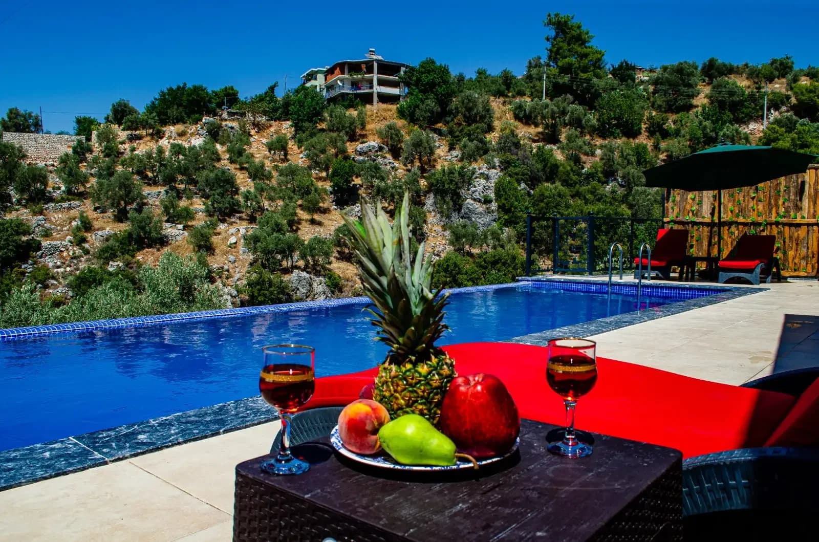 Villa Cenk 2