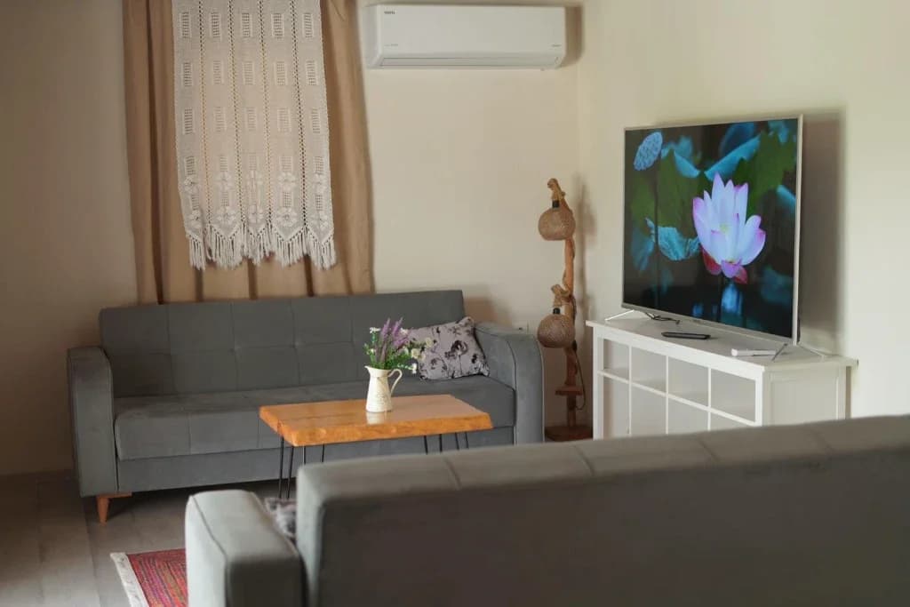 Villa Berke Kayaköy 19