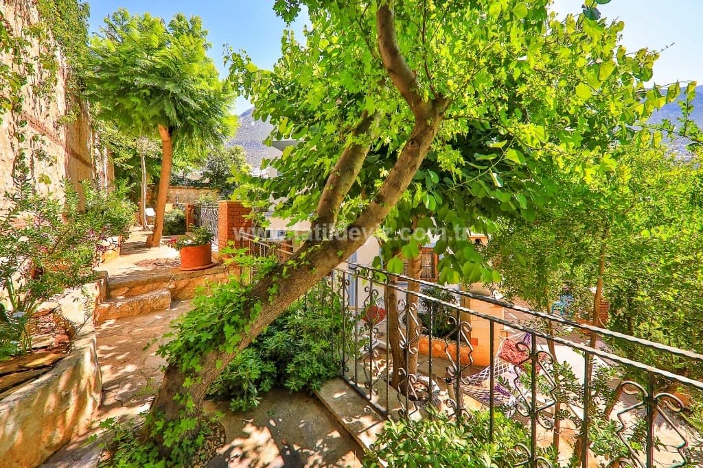 Villa Doreana 15