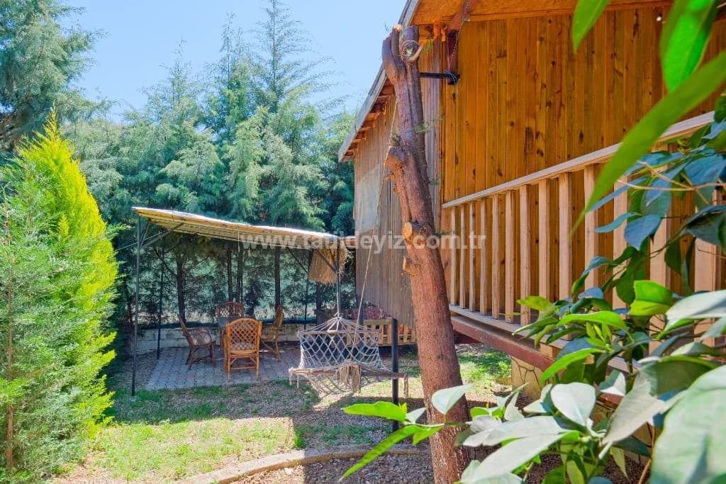 Bungalov Avokado 1 1