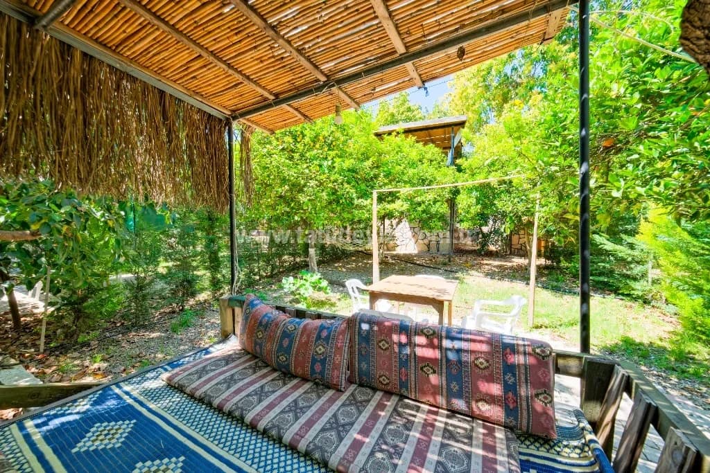 Bungalov Avokado 3 3