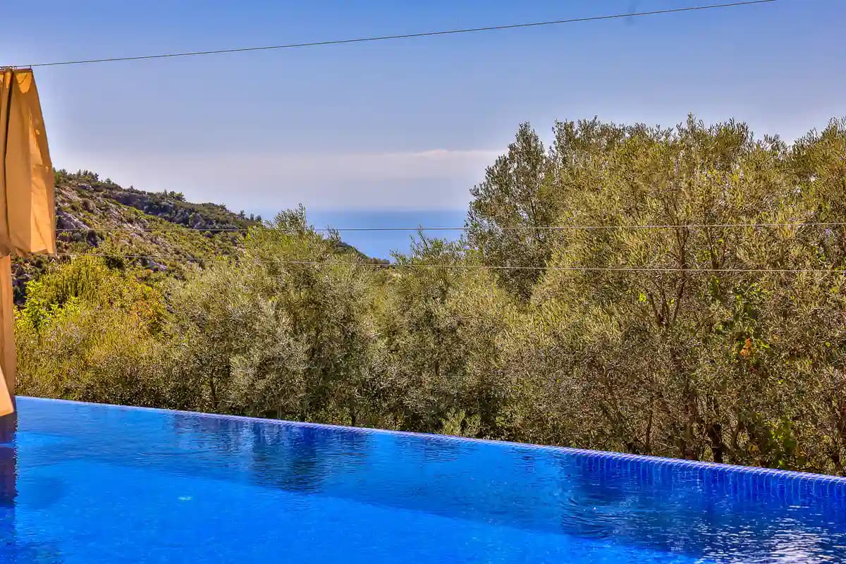 Villa Çınar 41